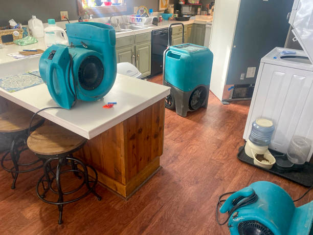Best Professional water damage repair  in Pennington, NJ