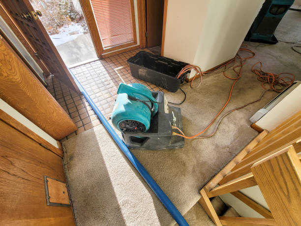 Best Flood damage cleanup  in Pennington, NJ