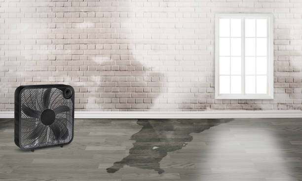 Best Water damage restoration near me  in Pennington, NJ