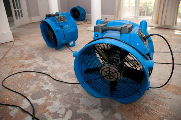 Best 24/7 water damage repair  in Pennington, NJ