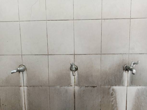 Best Commercial water damage restoration  in Pennington, NJ